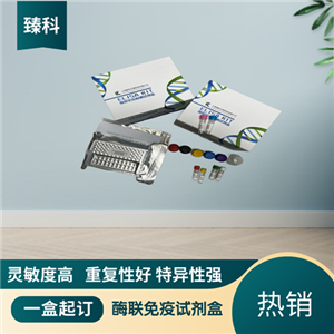 大鼠可溶性瘦素受体(sLR）ELISA试剂盒,Rat sLRELISA KIT