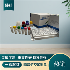 大鼠游离三碘甲状腺原氨酸(Free-T3）ELISA试剂盒