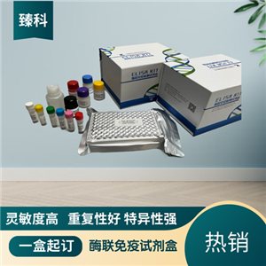 大鼠骨成型蛋白2(BMP-2）ELISA试剂盒,Rat BMP-2 ELISA KIT