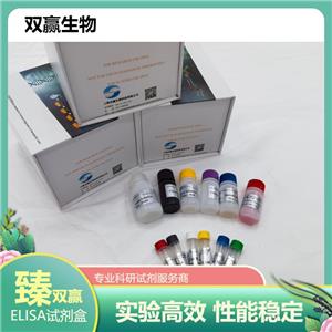 人血小板P2Y12受体(P2Y12R)ELISA试剂盒