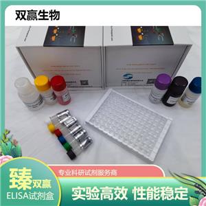 人甲状旁腺素受体1(PTHR1)ELISA试剂盒