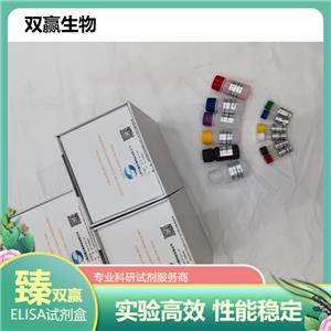人抗肌炎抗体谱3抗体IgG(MSA3-IgG)ELISA试剂盒