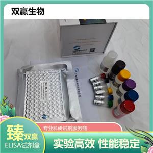 人白蛋白抗体(Alb-Ab)ELISA试剂盒