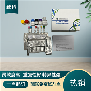大鼠一氧化氮(NO）ELISA试剂盒 ZK-5852,RatNO ELISA KIT