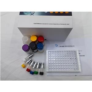 人胃动蛋白2抗体(GKN2 Ab)ELISA试剂盒