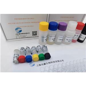 人抗磷脂酶A2受体IgG抗体(Anti-PLA2R)ELISA试剂盒