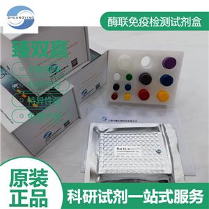 人Rho关联含卷曲螺旋蛋白激酶(Rock)ELISA试剂盒