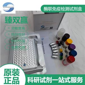 人5羟色胺2B受体(5-HT2BR)ELISA试剂盒