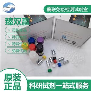 人超广谱β-内酰胺酶(ESBL)ELISA试剂盒