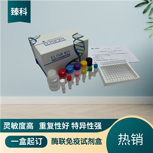 大鼠骨成型蛋白4(BMP-4）ELISA试剂盒 ZK-5857,Rat BMP-4 ELISA KIT