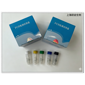 单增李斯特菌(LM)核酸检测试剂盒