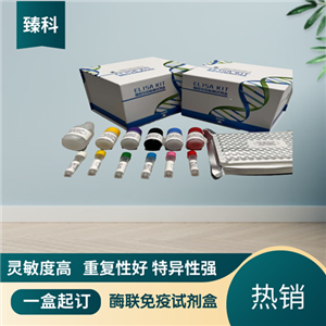 大鼠白介素23受体(IL-23R）ELISA试剂盒 ZK-5861,Rat IL-23R ELISA KIT