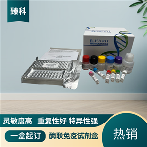 大鼠白介素23受体(IL-23R）ELISA试剂盒 ZK-5861,Rat IL-23R ELISA KIT