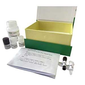 胰蛋白酶(Trypsin)测定试剂盒/微量法/96S,Trypsin ELISA KIT