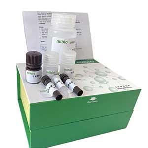 胰蛋白酶(Trypsin)测定试剂盒/微量法/96S,Trypsin ELISA KIT