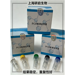 鳜鱼传染性脾肾坏死病毒(ISKNV)核酸检测方法