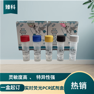 猪蓝耳病病毒欧洲株核酸试剂盒（荧光PCR法）