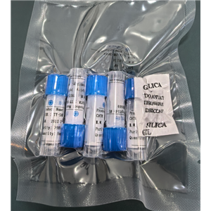 δ-内啡肽（牛、骆驼、小鼠、绵羊）,δ-Endorphin (bovine, camel, mouse, ovine)