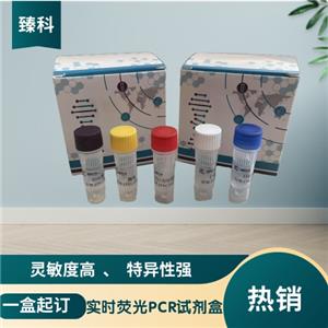 猪细小病毒核酸试剂盒（荧光PCR法）