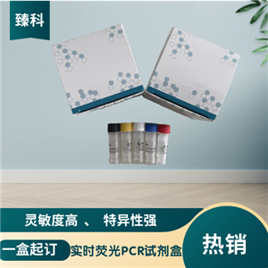 口蹄疫病毒A型核酸试剂盒（荧光PCR法）