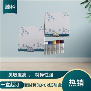 禽流感病毒N8亚型PCR试剂盒（荧光PCR法）