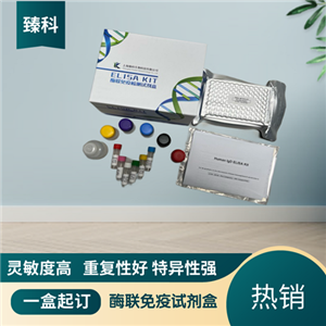 大鼠白介素1受体关联激酶2(IRAK2）ELISA试剂盒,Rat IRAK2 ELISA KIT