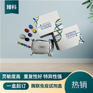 大鼠白介素1受体Ⅰ(IL-1R1）ELISA试剂盒,Rat IL-1R1 ELISA KIT