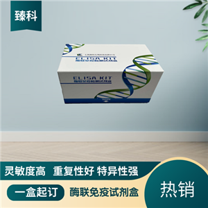 大鼠白介素17(IL-17）ELISA试剂盒ZK-5871,Rat IL-17  ELISA KIT