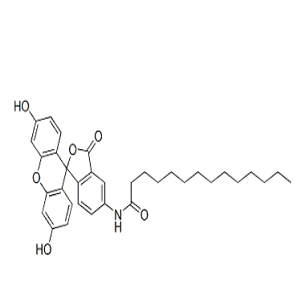 75796-37-1，5-(十四酰氨基)荧光素，5-(Tetradecanoylamino)fluorescein