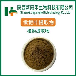 枇杷叶提取物  