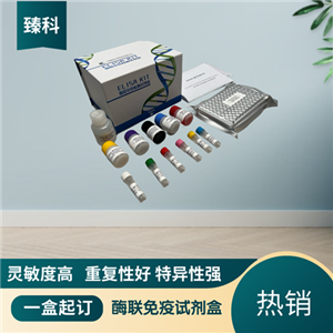 人乙型肝炎E抗原(HBeAg）检测试剂盒（ELISA法）