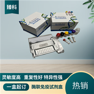 人总β淀粉样蛋白(Aβ）检测试剂盒（ELISA法）