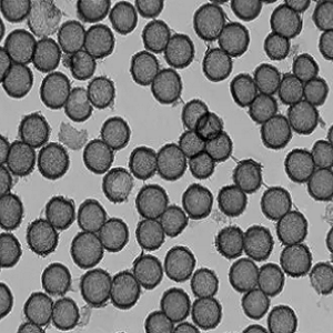 NH2-Mesoporous MnO2，氨基化的介孔二氧化锰