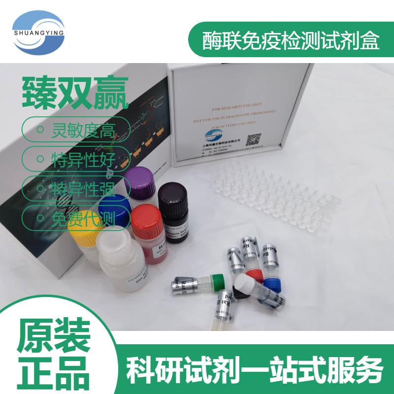 人Smad同源物1(Smad1)ELISA试剂盒