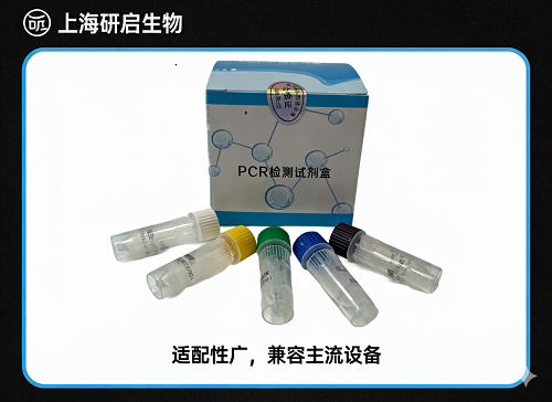 脑膜炎奈瑟菌通用型(NM-U)核酸检测试剂盒