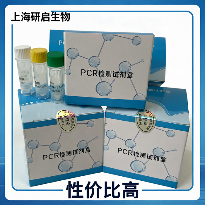 猫杯状病毒（FCV）核酸检测试剂盒