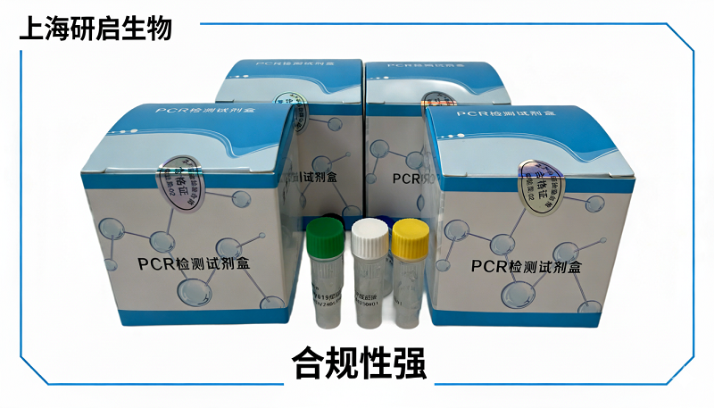 猪劳森氏胞内菌(LI)核酸检测试剂盒(荧光-PCR法)