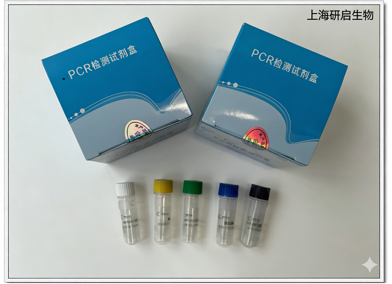 猪链球菌2型(SS-2)核酸检测试剂盒(荧光-PCR法)