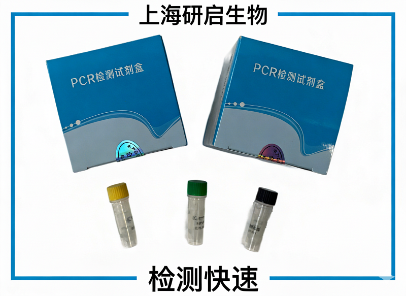 猪痢疾蛇形螺旋体(SH)核酸检测试剂盒(荧光-PCR法)