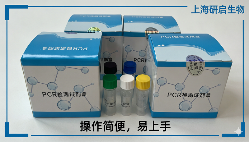 伪狂犬病毒通用型(PRV-gB)核酸检测试剂盒(荧光-PCR法)
