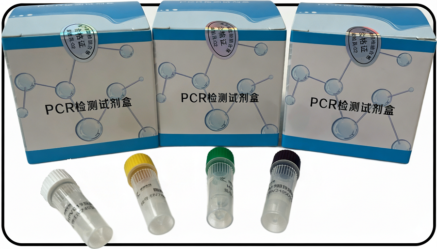 禽流感病毒通用型(AIV-U)核酸检测试剂盒(荧光-PCR法)