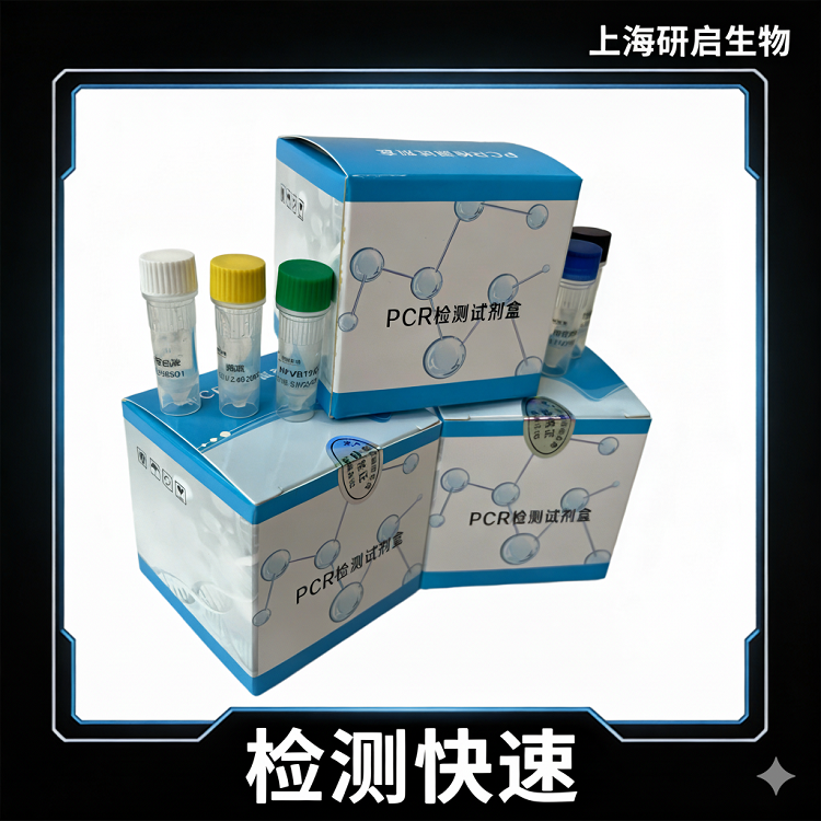 乙型流感病毒(IBV)核酸检测试剂盒(荧光-PCR法)