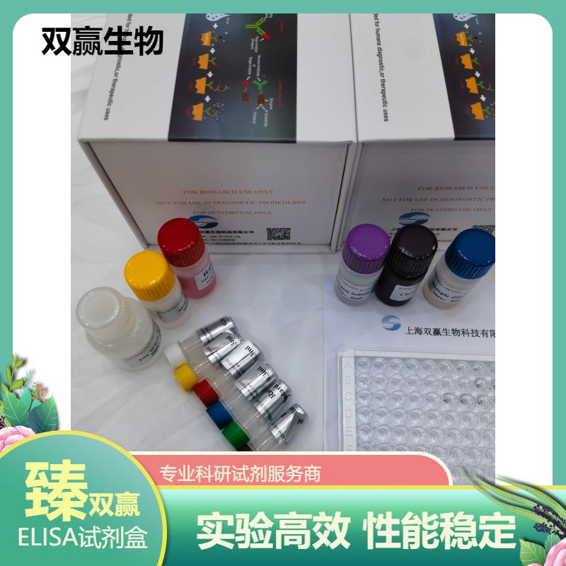人抗肌动蛋白抗体IgG(ACT-IgG Ab)ELISA试剂盒