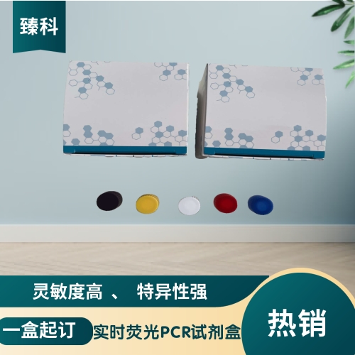 支原体核酸试剂盒（荧光PCR法）