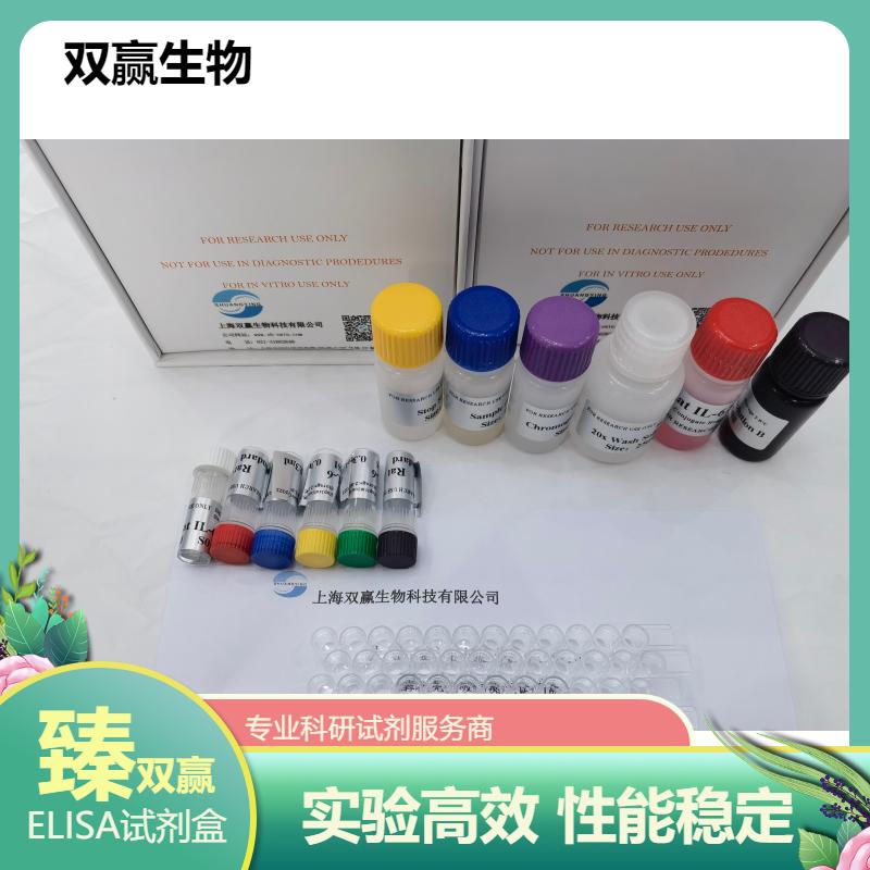 人胰岛素受体β(ISR-β)ELISA试剂盒