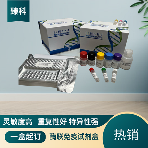 大鼠（Rat）Smad同源物7(Smad7）ELISA试剂盒,Rat  Smad7  ELISA KIT