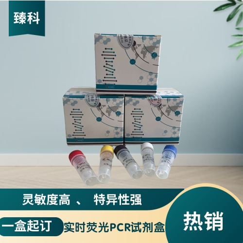 鸭圆环病毒（DuCV）核酸试剂盒（荧光PCR法）