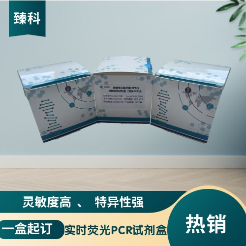 新城疫中强毒株(NDV-M)核酸试剂盒（荧光PCR法）