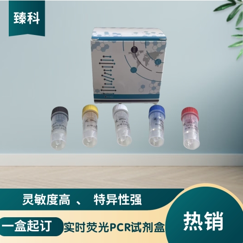 新型鸭呼肠孤病毒(NDRV)核酸试剂盒（荧光PCR法）