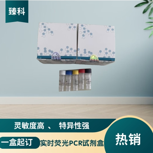 甲型流感病毒H6亚型(IAV-H6)核酸试剂盒